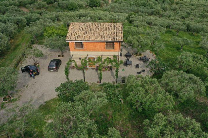B&B Rifugio Tra Gli Ulivi Campagna Exterior foto